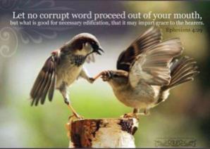 no corrupt word