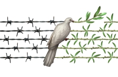 Optimism concept and diplomacy hope symbol as a dove on barbed wire to olive branches as an icon for good will of man and a respect for humanity and a global safer world or a greeting for earth day isolated on white.